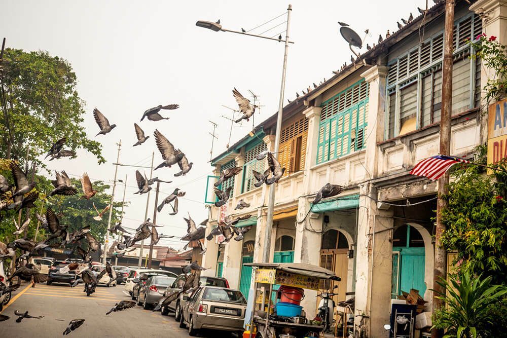 Pigeons taking off over a street of old shophouses in Penang