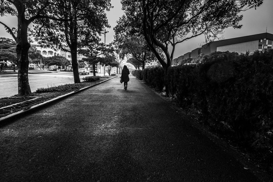 Black and white photo of a straight path lined with trees and a hedge, converging on a lone walker in the distance