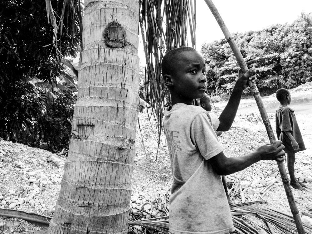 Black and white photo of a Haitian boy holding a long pole next to a palm trunk, with another child behind him