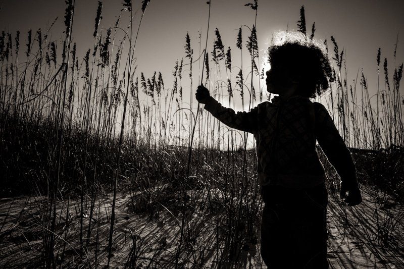 Silhouette of a child with curly hair reaching toward tall grass against a bright sky