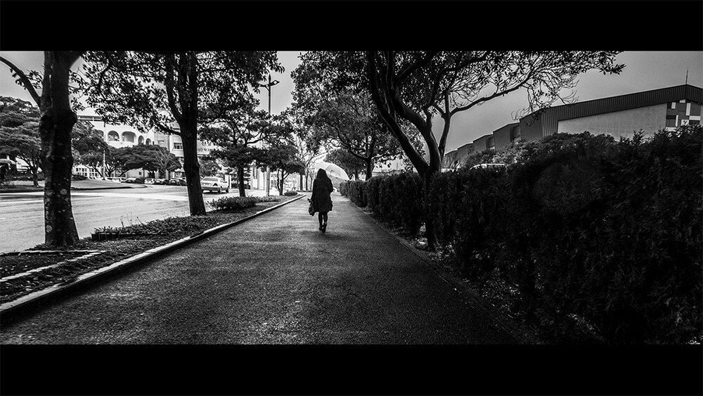 Black and white photo of a woman with an umbrella walking alone down a wet tree-lined path, with dark hedges on the right