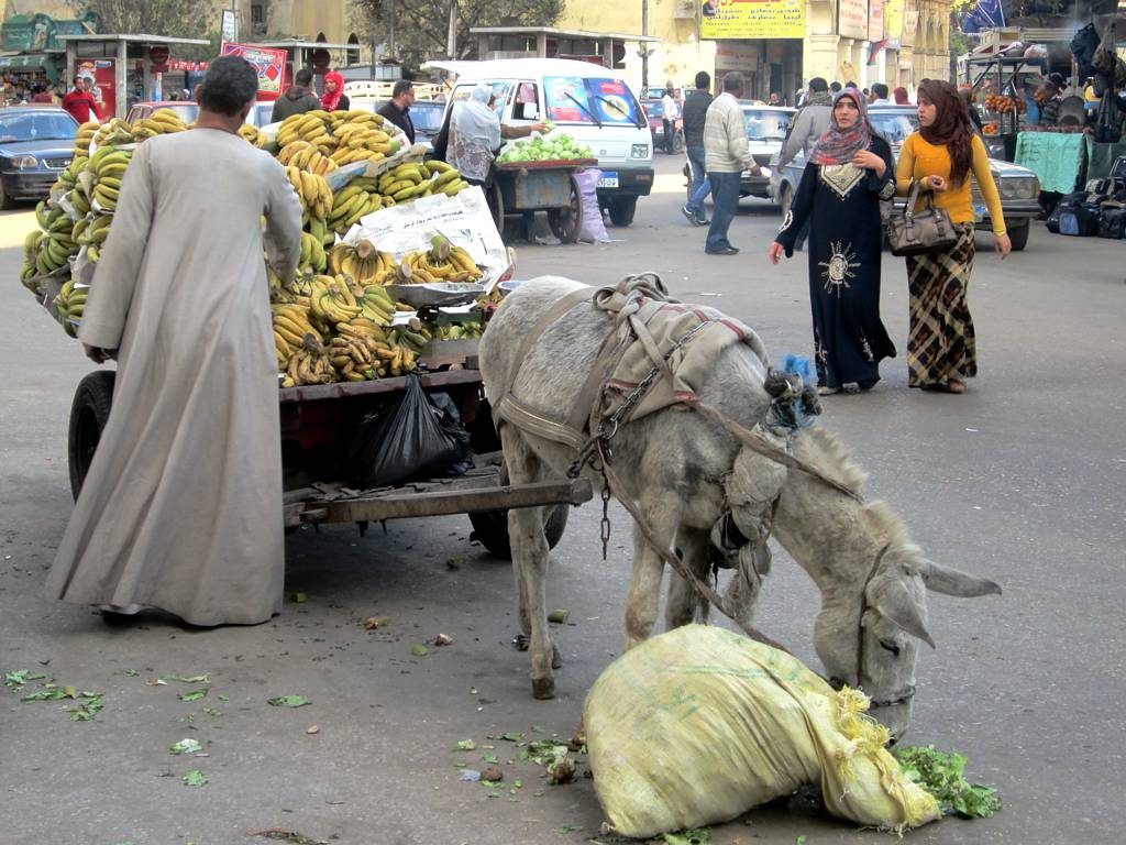 Street scene in Cairo