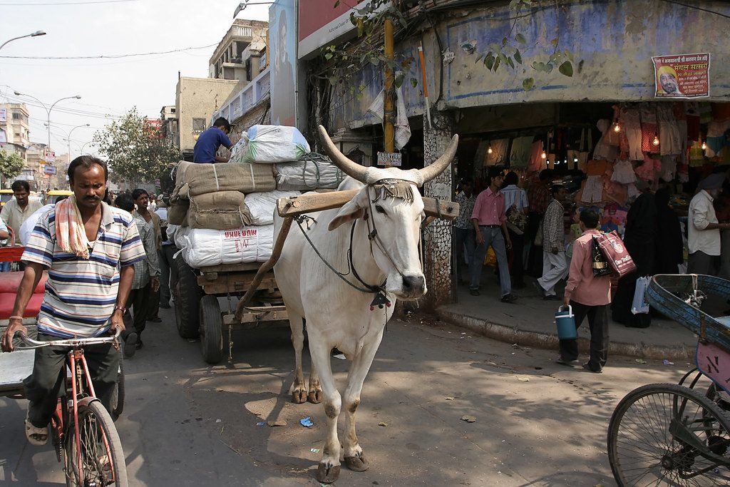 Street scene in Delhi
