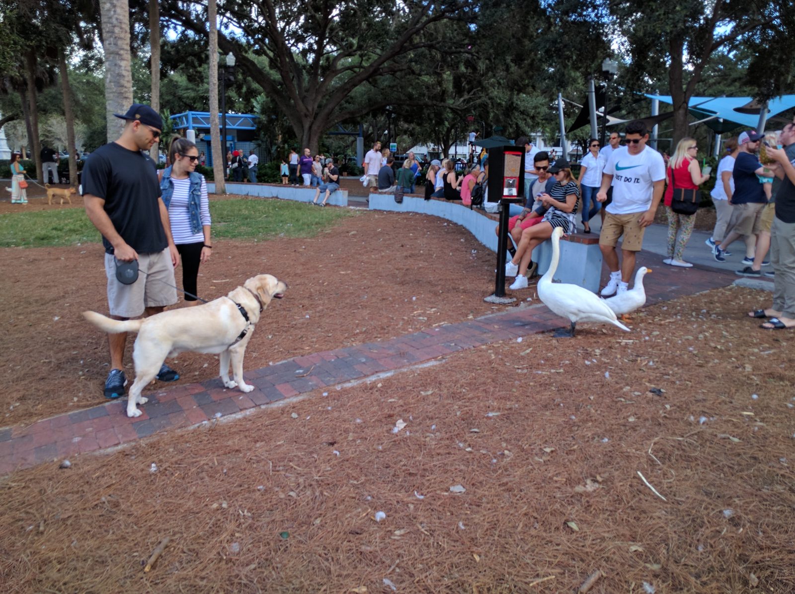 Street scene in Orlando
