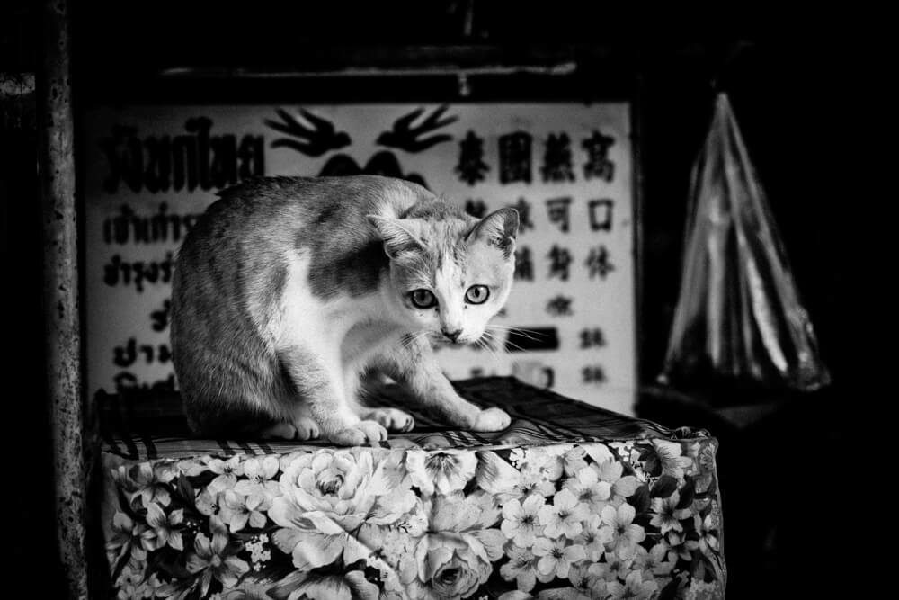 Street photo by Olivier Duong, Chiang Mai