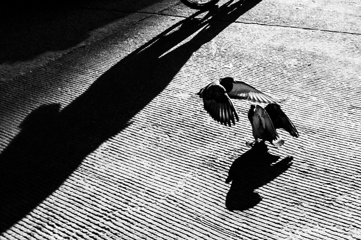 Street photo by Olivier Duong, New York