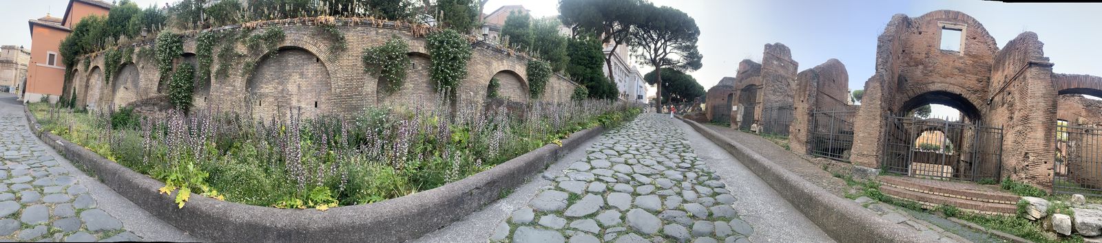 Street scene in Rome