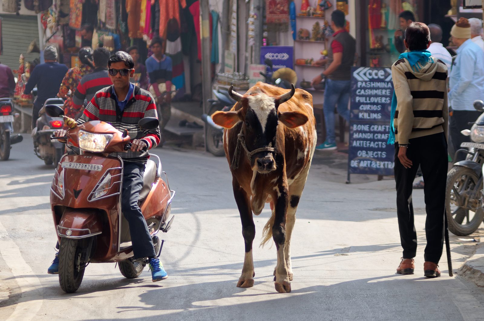 Street photography in Udaipur